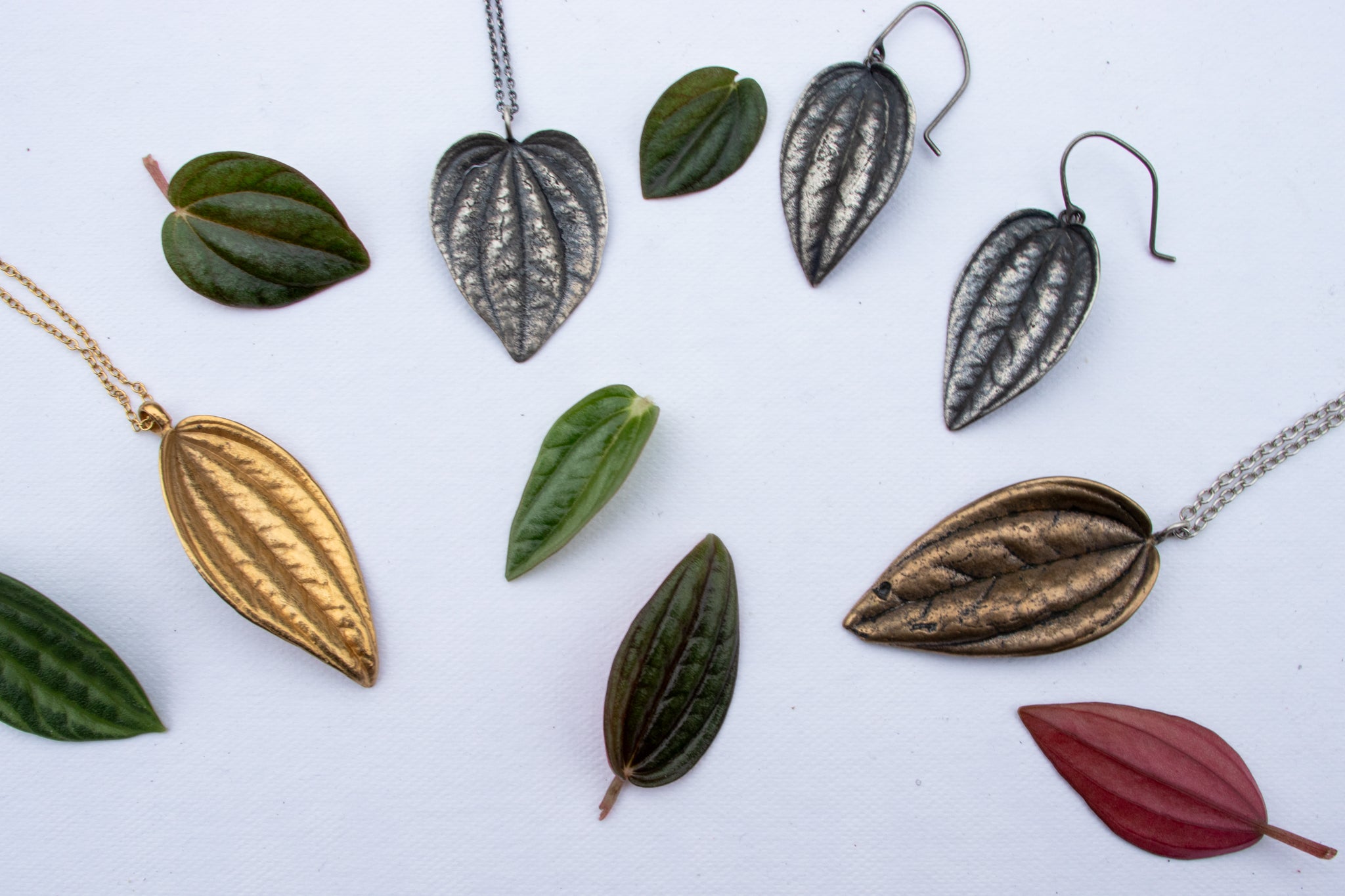 leaf collection