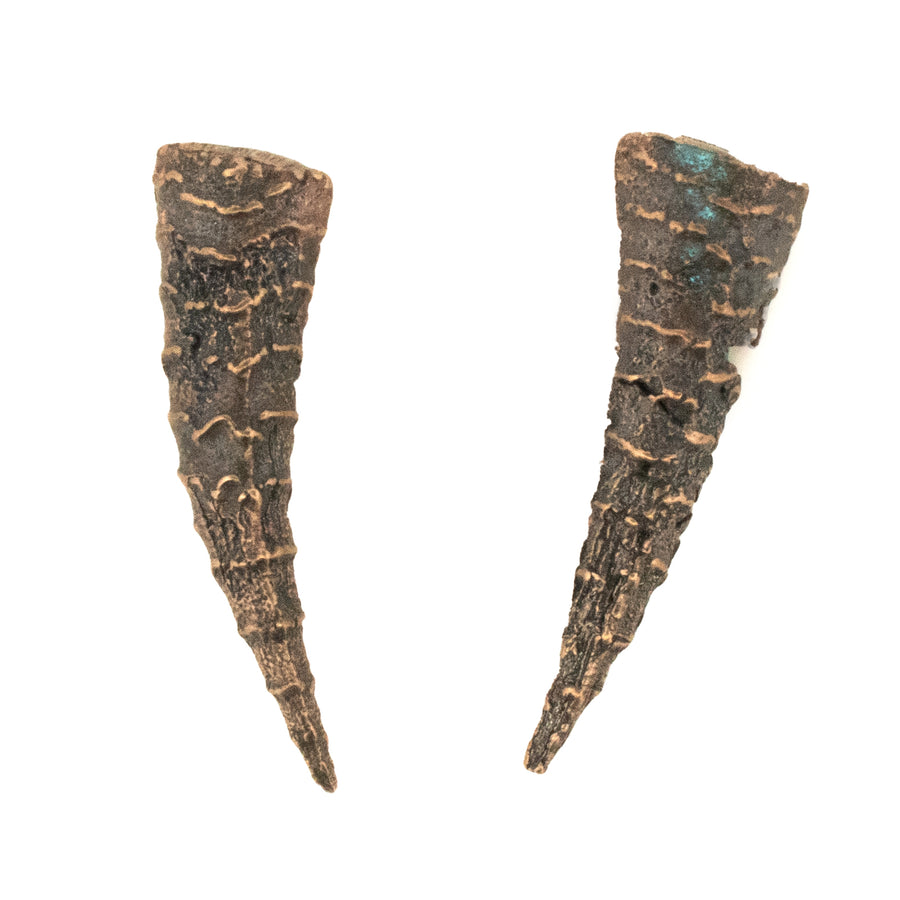 bronze Haworthia succulent dagger post earrings 2