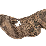 bronze locust pod necklace