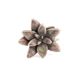 sterling silver floral succulent ring 10