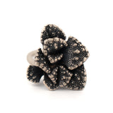 sterling silver titanopsis calcera ring