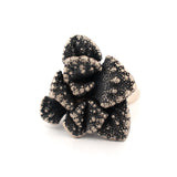 sterling silver titanopsis calcera ring
