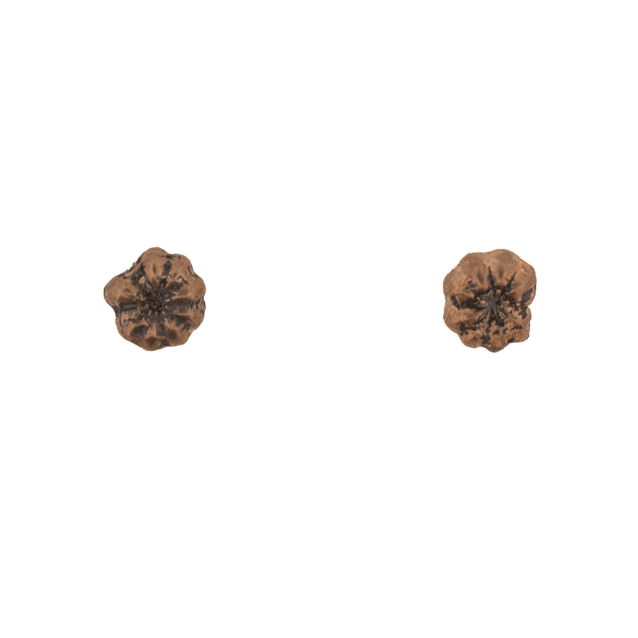 bronze pokeweed stud earrings 2