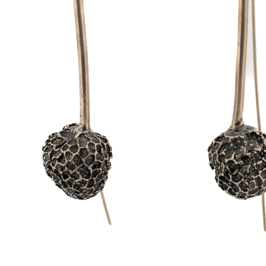 sterling silver American Sycamore fruit earrings