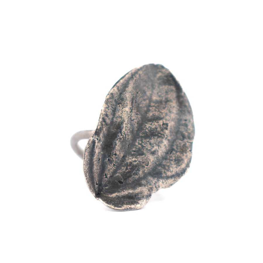 sterling silver peperomia shield ring 3