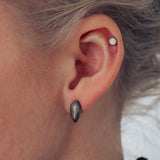 floral succulent earring : petal