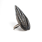 leaf peperomia shield ring