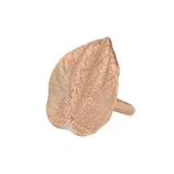 solid 14k gold peperomia shield ring