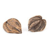 bronze peperomia leaf post earrings