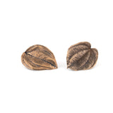 bronze peperomia leaf post earrings