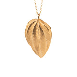 gold vermeil peperomia leaf necklace 3