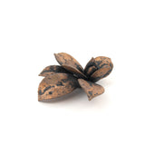 bronze echeveria floral succulent altarpiece