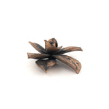 bronze echeveria floral succulent altarpiece