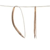 bronze happy bean succulent earrings