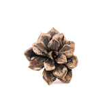 bronze large floral succulent ring