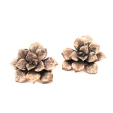 bronze floral succulent earrings