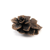 bronze echeveria floral succulent altarpiece 2