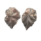 sterling silver begonia leaf earrings