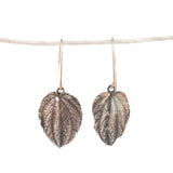 sterling silver small peperomia leaf earrings