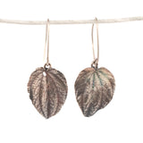 sterling silver small peperomia leaf earrings