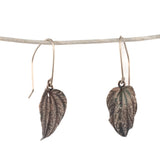 sterling silver small peperomia leaf earrings