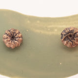 bronze pokeweed stud earrings