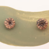 bronze pokeweed stud earrings