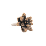 bronze floral succulent ring 3