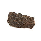 bronze horizontal tree bark ring