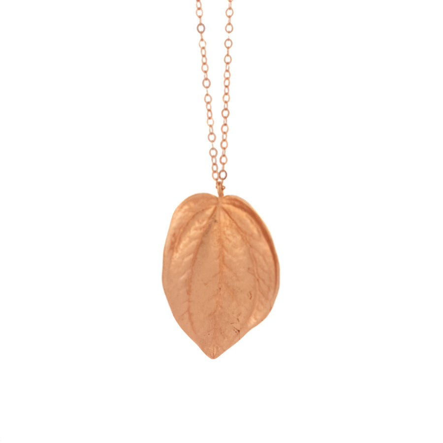rose gold vermeil peperomia leaf necklace