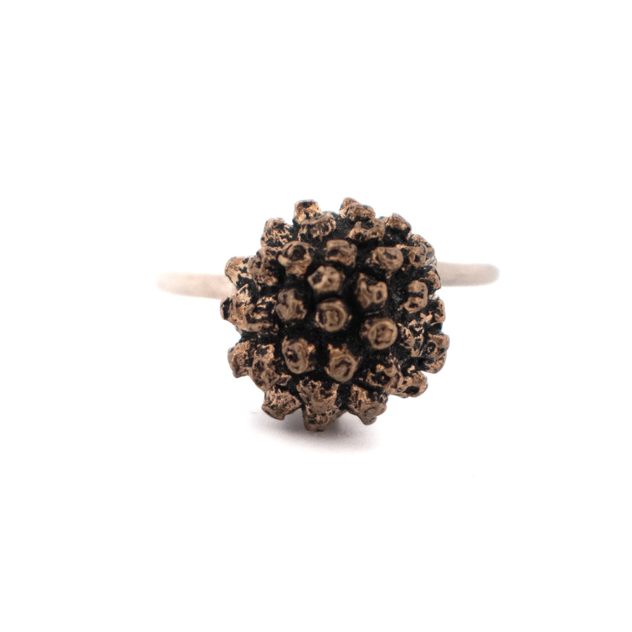 bronze kousa dogwood fruit ring