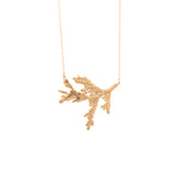 gold vermeil medium cedar sprig statement necklace