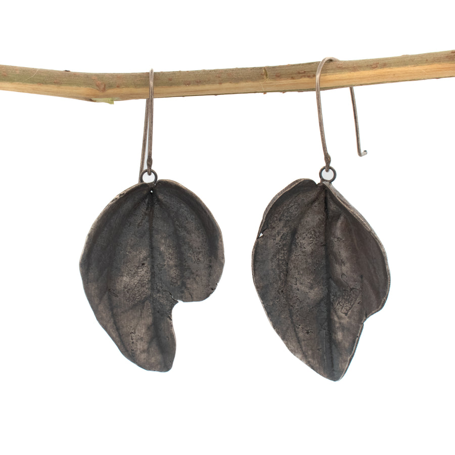 sterling silver peperomia leaf earrings