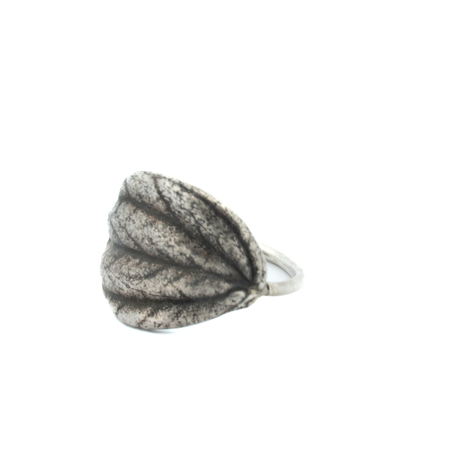 peperomia leaf wrap ring